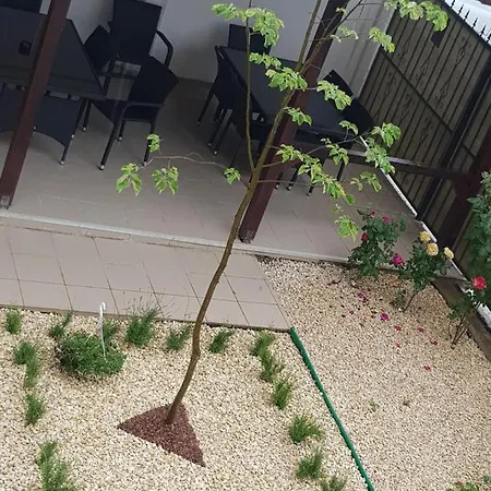 El Capitano - Mamaia Nord Năvodari