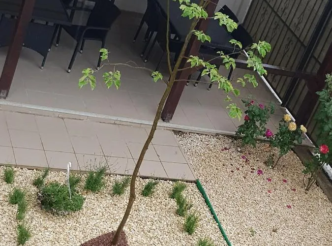 El Capitano - Mamaia Nord Năvodari